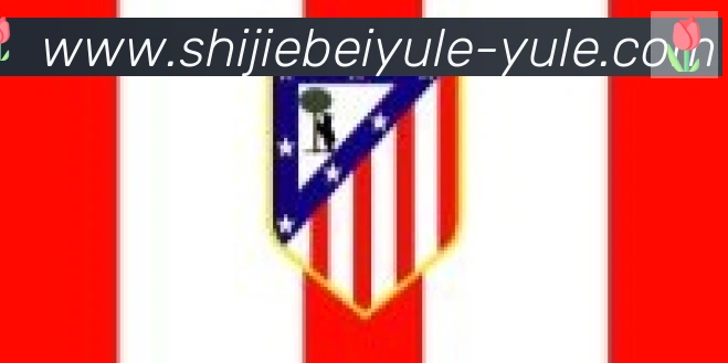2026世界杯下注入口合作伙伴
